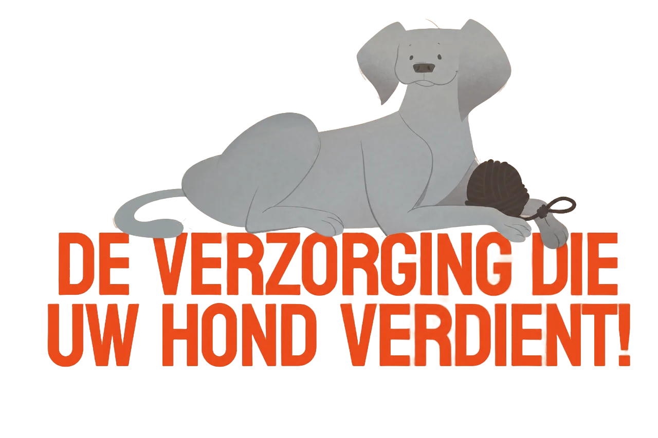 Grijze hond die ontspannen ligt